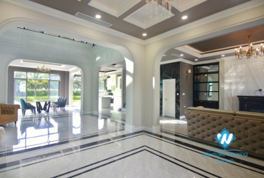 Brand new villa for rent in Vinhome Harmony.